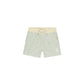 Boardshort- Sage Stripe